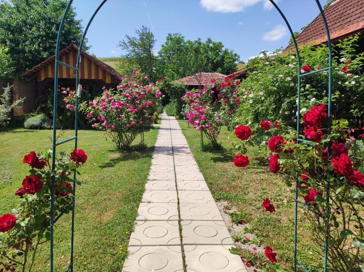 Pod Orehom Drvena Kuca I Sauna Hotel Krapina Exterior foto