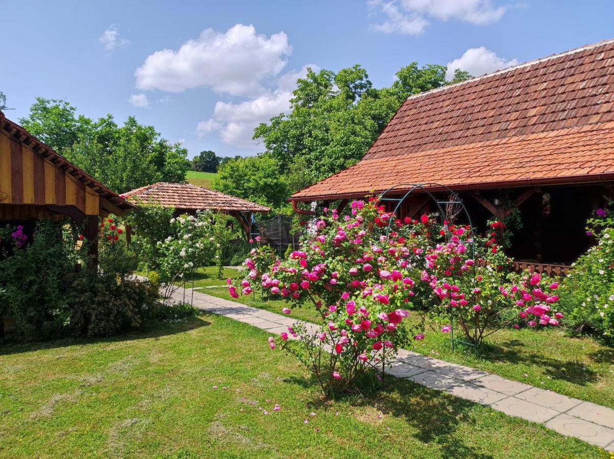 Pod Orehom Drvena Kuca I Sauna Hotel Krapina Exterior foto