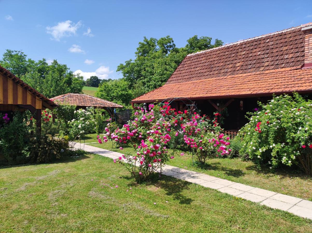 Pod Orehom Drvena Kuca I Sauna Hotel Krapina Exterior foto